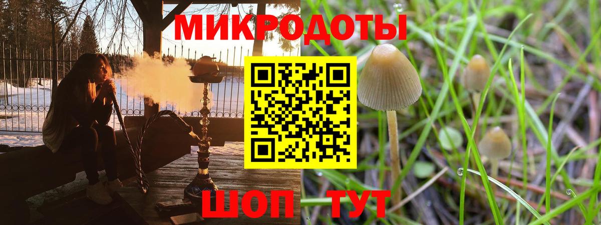 Галлюциногенные грибы мухоморы Лесной