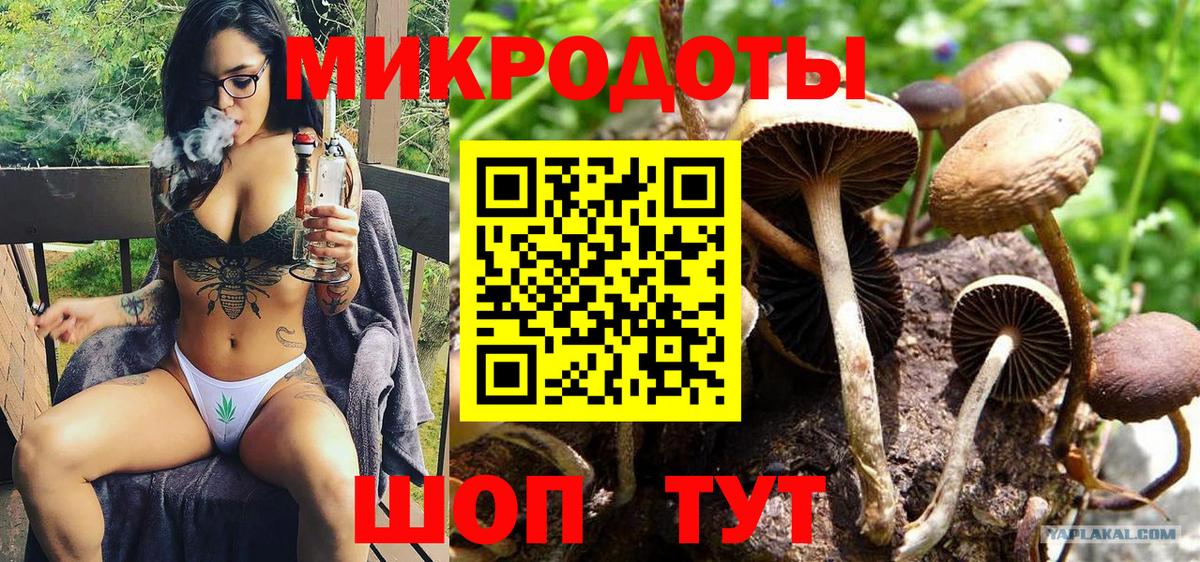 Галлюциногенные грибы Psilocybine cubensis  Вход с VPN  Лесной  Галлюциногенные грибы Psilocybine cubensis 